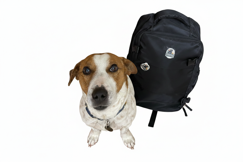 Staffie Backpacks